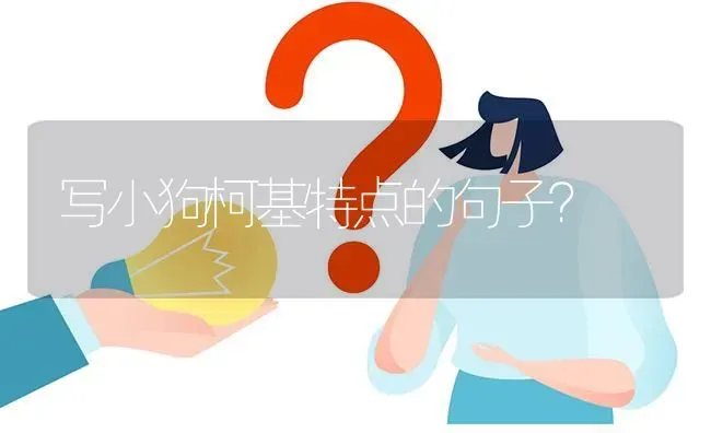 写小狗柯基特点的句子？ | 动物养殖问答