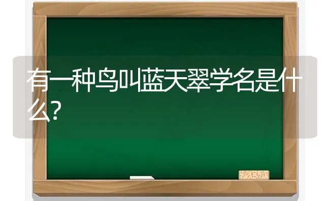 有一种鸟叫蓝天翠学名是什么？ | 动物养殖问答