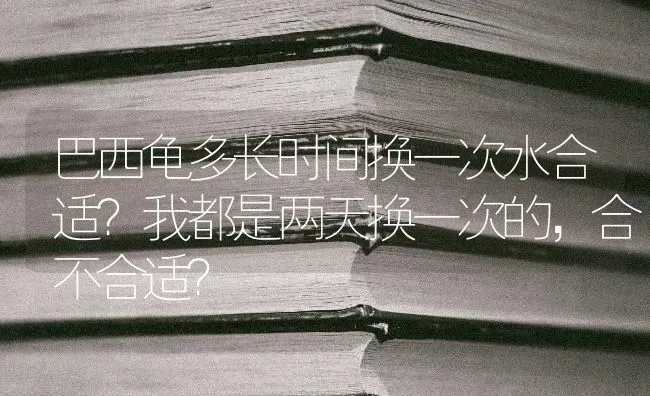 巴西龟多长时间换一次水合适？我都是两天换一次的，合不合适？ | 动物养殖问答