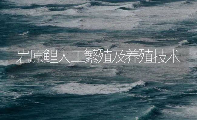 岩原鲤人工繁殖及养殖技术 | 海水养殖技术