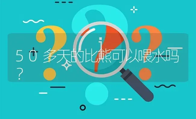 50多天的比熊可以喂水吗？ | 动物养殖问答