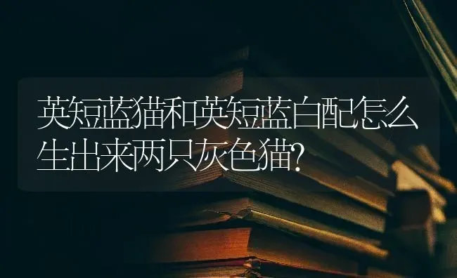 辽宁省大型犬标准？ | 动物养殖问答