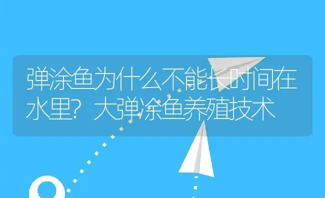 弹涂鱼为什么不能长时间在水里?大弹凃鱼养殖技术 | 动物养殖百科