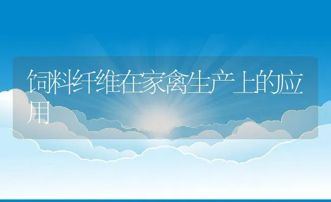 饲料纤维在家禽生产上的应用 | 动物养殖学堂