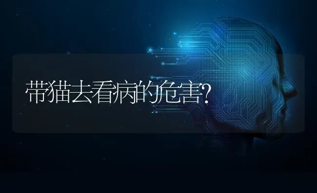 养松狮犬喜欢小孩吗？ | 动物养殖问答