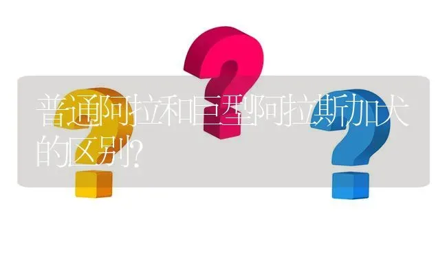 普通阿拉和巨型阿拉斯加犬的区别？ | 动物养殖问答