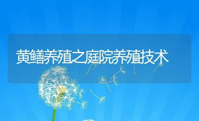 黄鳝养殖之庭院养殖技术 | 动物养殖饲料