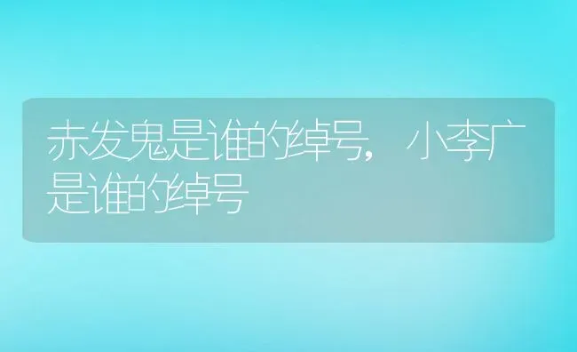 赤发鬼是谁的绰号,小李广是谁的绰号 | 宠物百科知识