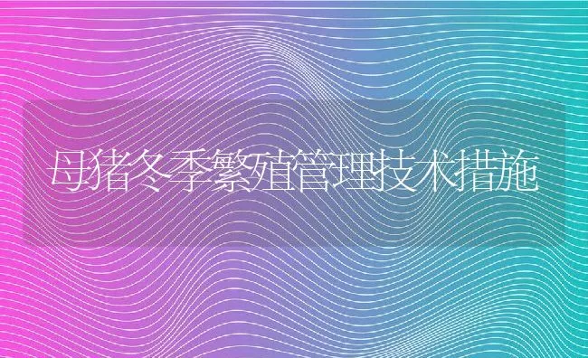 母猪冬季繁殖管理技术措施 | 动物养殖学堂