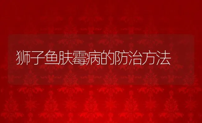 狮子鱼肤霉病的防治方法 | 水产养殖知识