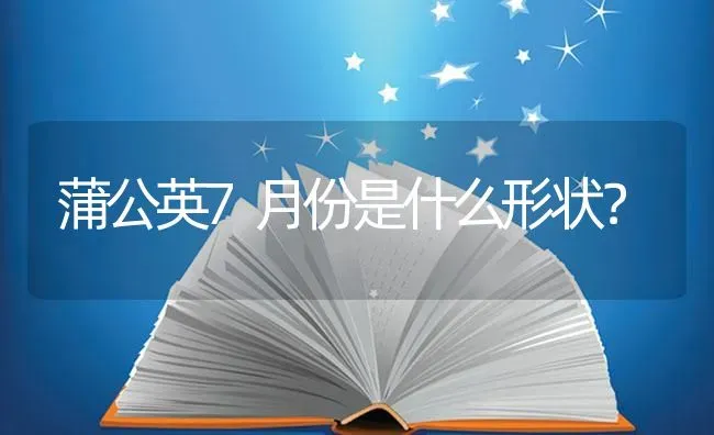 蒲公英7月份是什么形状？ | 鱼类宠物饲养