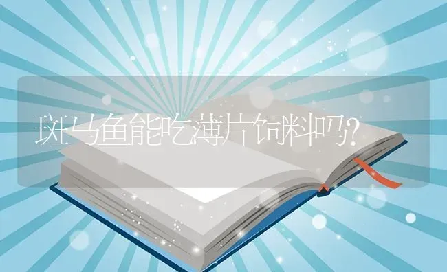 斑马鱼能吃薄片饲料吗？ | 鱼类宠物饲养