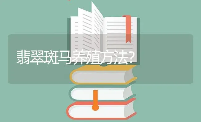 翡翠斑马养殖方法？ | 鱼类宠物饲养