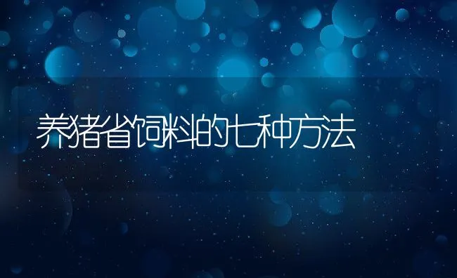 养猪省饲料的七种方法 | 动物养殖饲料