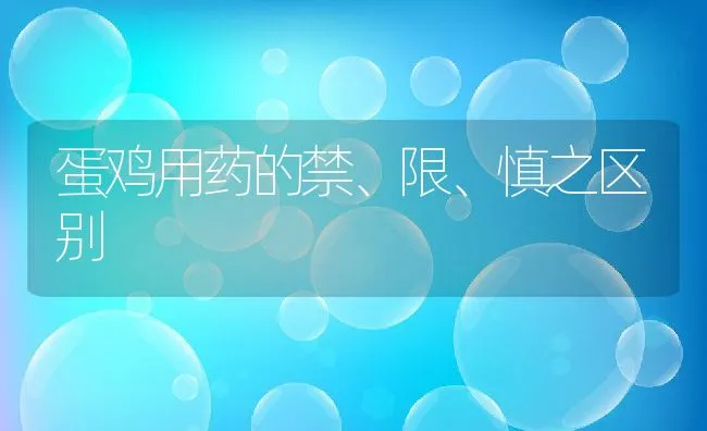 蛋鸡用药的禁、限、慎之区别 | 动物养殖学堂