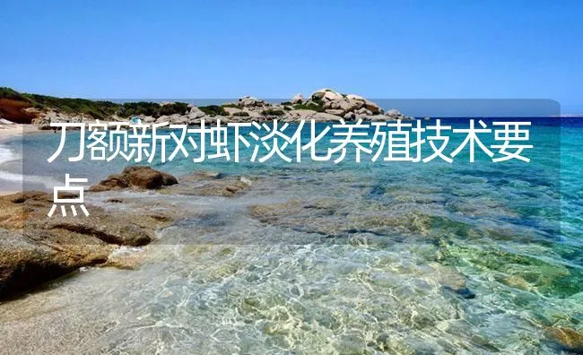 刀额新对虾淡化养殖技术要点 | 海水养殖技术