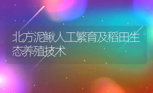 北方泥鳅人工繁育及稻田生态养殖技术 | 水产养殖知识