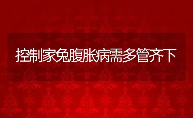 控制家兔腹胀病需多管齐下 | 动物养殖学堂