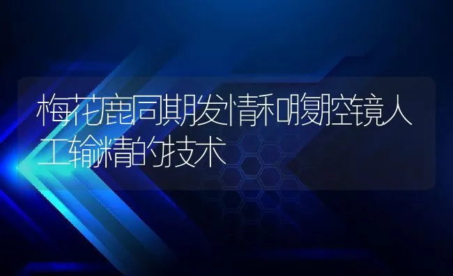 梅花鹿同期发情和腹腔镜人工输精的技术 | 水产养殖知识