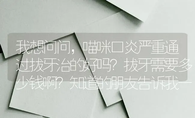 我想问问，喵咪口炎严重通过拔牙治的好吗？拔牙需要多少钱啊？知道的朋友告诉我一下？ | 动物养殖问答