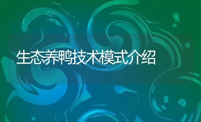 生态养鸭技术模式介绍 | 动物养殖百科