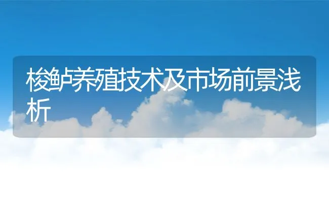 梭鲈养殖技术及市场前景浅析 | 动物养殖饲料