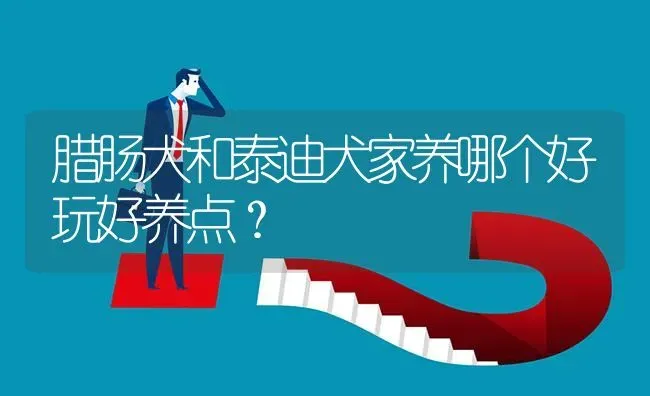 腊肠犬和泰迪犬家养哪个好玩好养点？ | 动物养殖问答