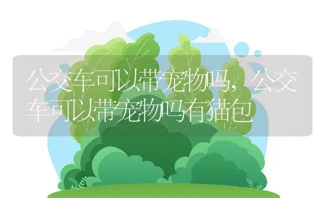 公交车可以带宠物吗,公交车可以带宠物吗有猫包 | 宠物百科知识