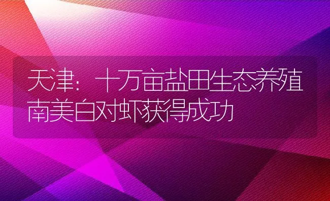 天津：十万亩盐田生态养殖南美白对虾获得成功 | 动物养殖饲料