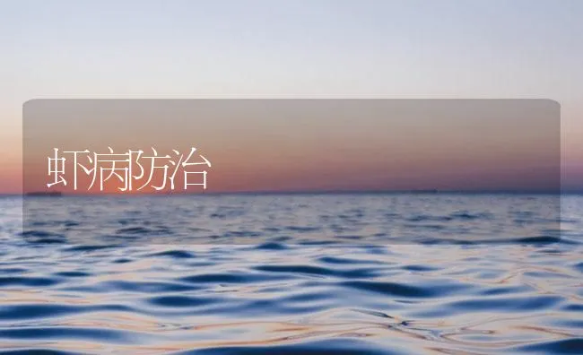 虾病防治 | 海水养殖技术