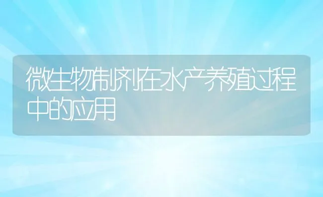 微生物制剂在水产养殖过程中的应用 | 动物养殖饲料