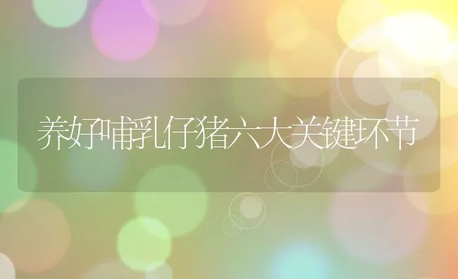养好哺乳仔猪六大关键环节 | 动物养殖学堂