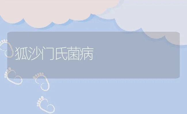 狐沙门氏菌病 | 水产养殖知识