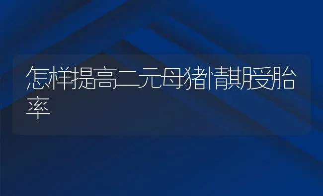 怎样提高二元母猪情期受胎率 | 动物养殖学堂