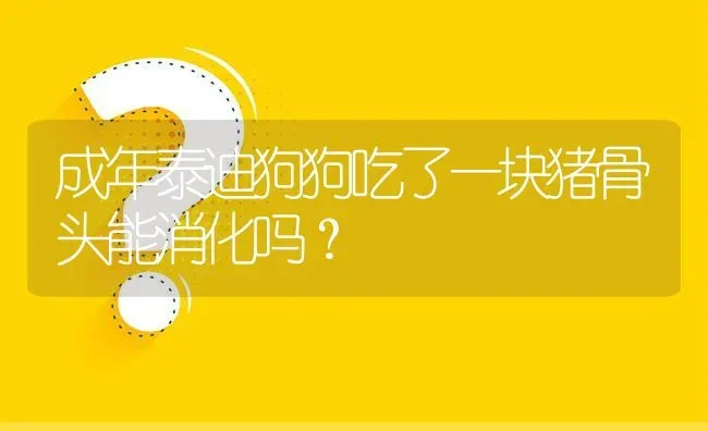 成年泰迪狗狗吃了一块猪骨头能消化吗？ | 动物养殖问答