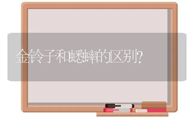 北方养狗有市场吗？ | 动物养殖问答