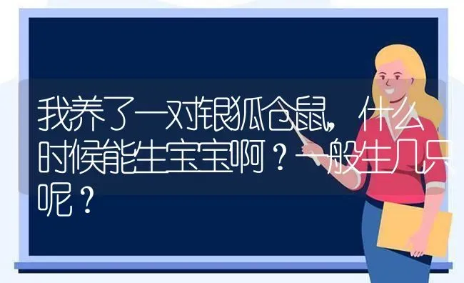 我养了一对银狐仓鼠，什么时候能生宝宝啊？一般生几只呢？ | 动物养殖问答