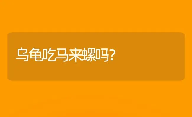 柯基有尾巴和没尾巴的区别？ | 动物养殖问答