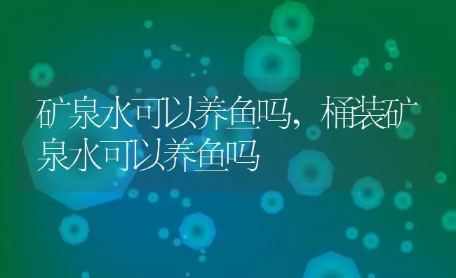 矿泉水可以养鱼吗,桶装矿泉水可以养鱼吗 | 宠物百科知识