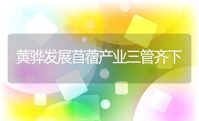 黄骅发展苜蓿产业三管齐下 | 动物养殖学堂