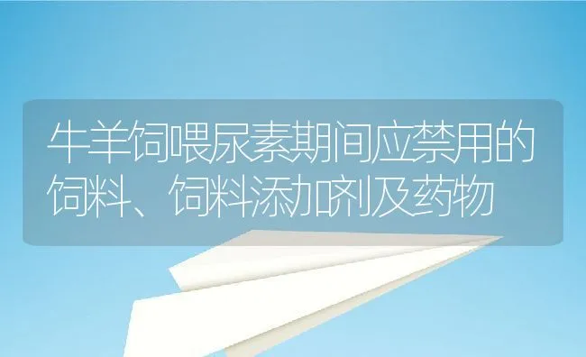 牛羊饲喂尿素期间应禁用的饲料、饲料添加剂及药物 | 动物养殖饲料