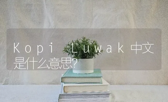 Kopi Luwak中文是什么意思？ | 动物养殖问答