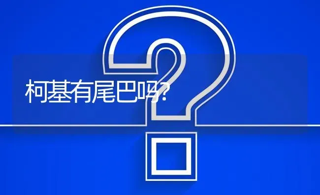 柯基有尾巴吗？ | 动物养殖问答