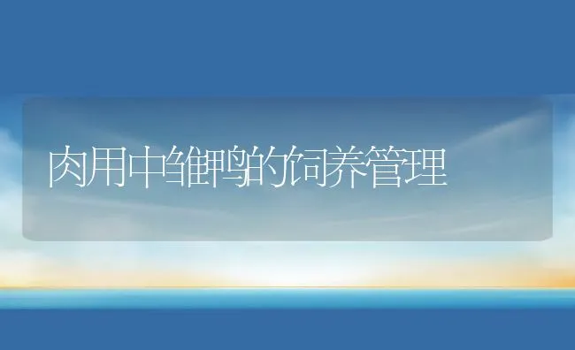 罗非鱼三种相似疾病的防治 | 海水养殖技术