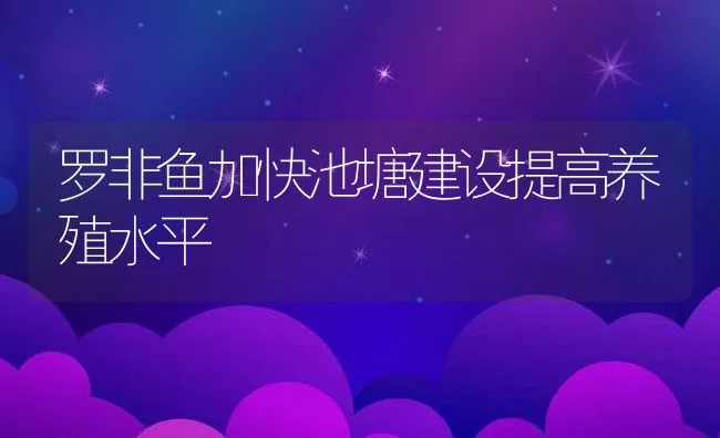 罗非鱼加快池塘建设提高养殖水平 | 动物养殖饲料