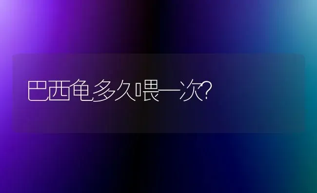 请问折耳猫是不是容易发病，想买一只就是怕死了？ | 动物养殖问答