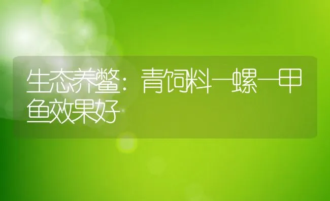 生态养鳖：青饲料—螺—甲鱼效果好 | 水产养殖知识