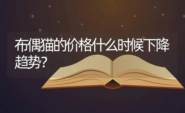 布偶猫的价格什么时候下降趋势？ | 动物养殖问答