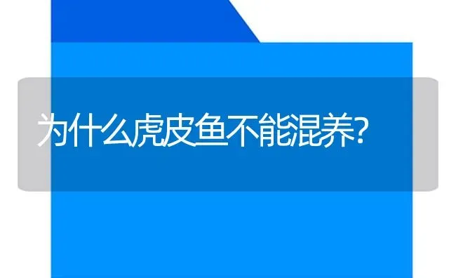 为什么虎皮鱼不能混养？ | 鱼类宠物饲养