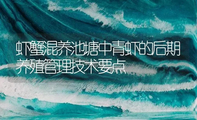 虾蟹混养池塘中青虾的后期养殖管理技术要点 | 海水养殖技术